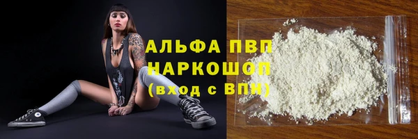 метадон Богданович