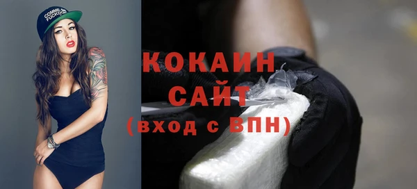 ешки Бородино