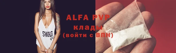 ешки Бородино