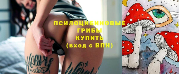 метадон Богданович