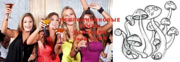 метадон Богданович
